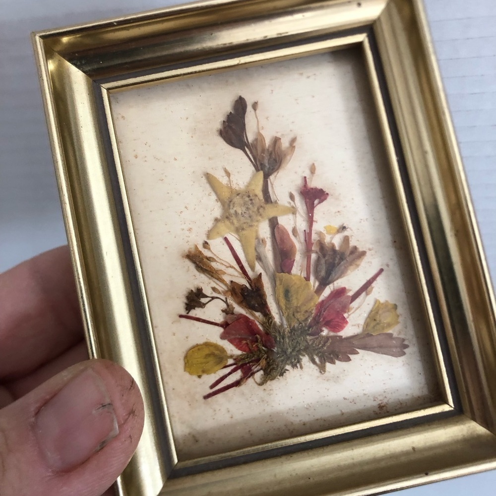 Vtg Pressed Floral Art in Gold Frame